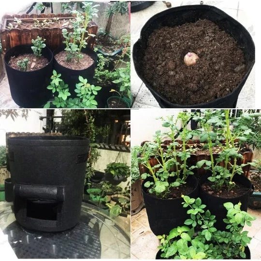 Pflanzsäcke für den Anbau von Gemüse und Obst im Garten oder auf dem Balkon