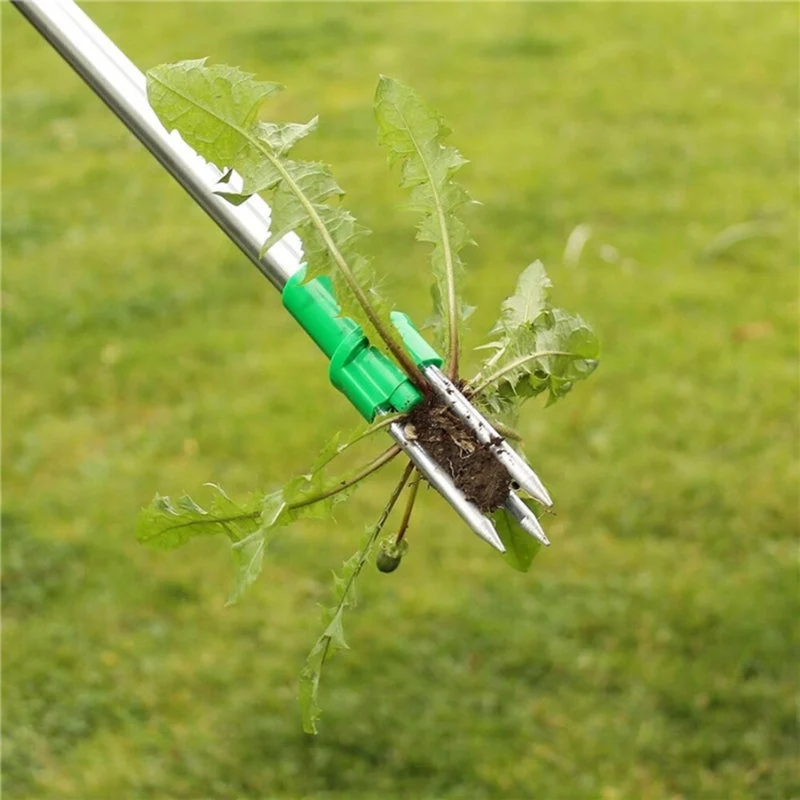 Unkrautentferner mit langem Griff für rückenschonende Gartenarbeit