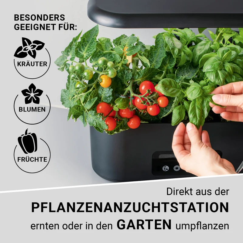 Hydroponische Pflanzenanzuchtstation mit Display