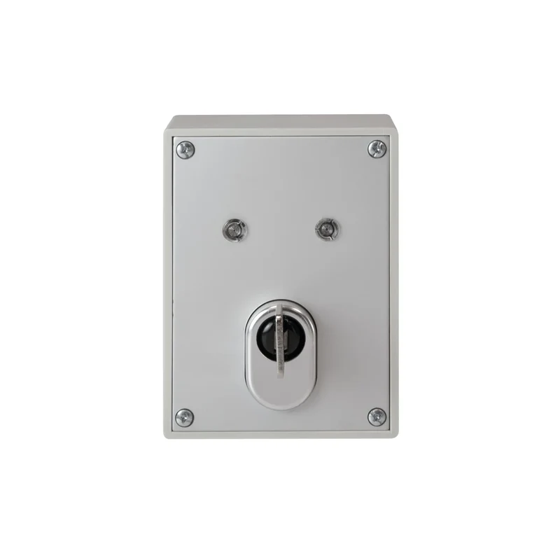 ABUS AP-Schlüsselschalter inkl. Halbzylinder SE1010