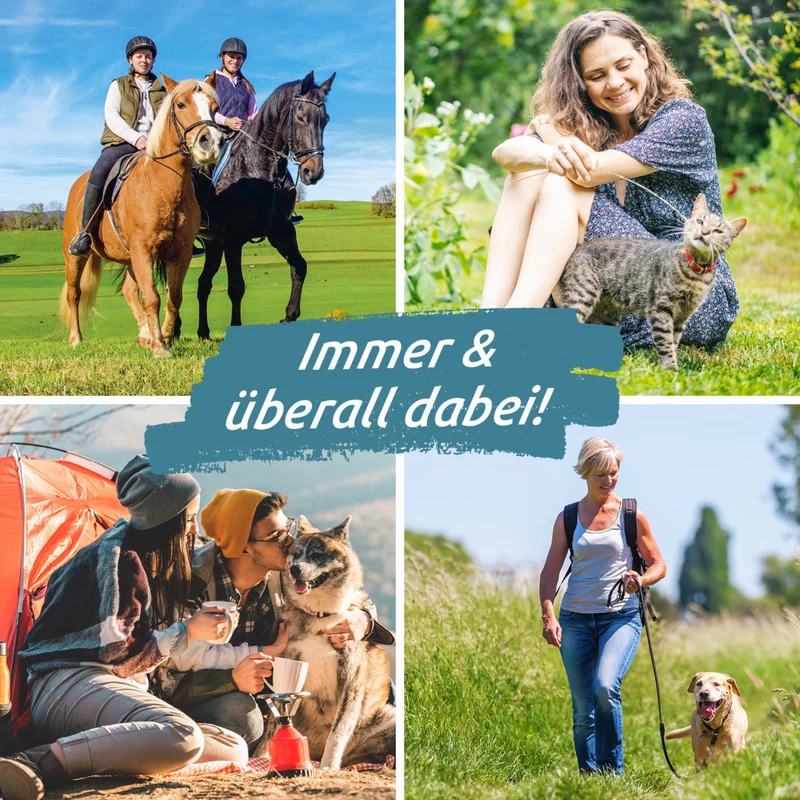 Zeckengreifer für Tiere mit rotierendem Greiferkopf - 2er-Set