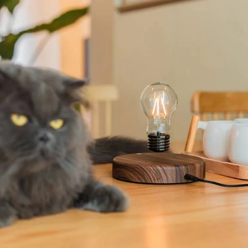 Magnetische LED-Tischlampe mit rotierendem Leuchtelement