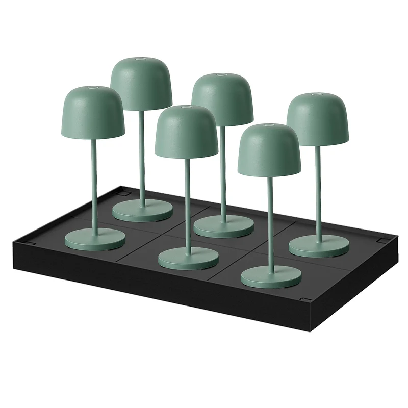 6X SOPHIA OLIVE