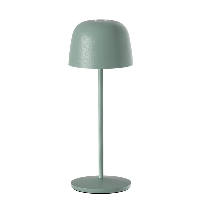 6X SOPHIA OLIVE