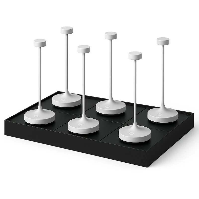 6x RUBY WHITE + PLATEAU DE CHARGEMENT