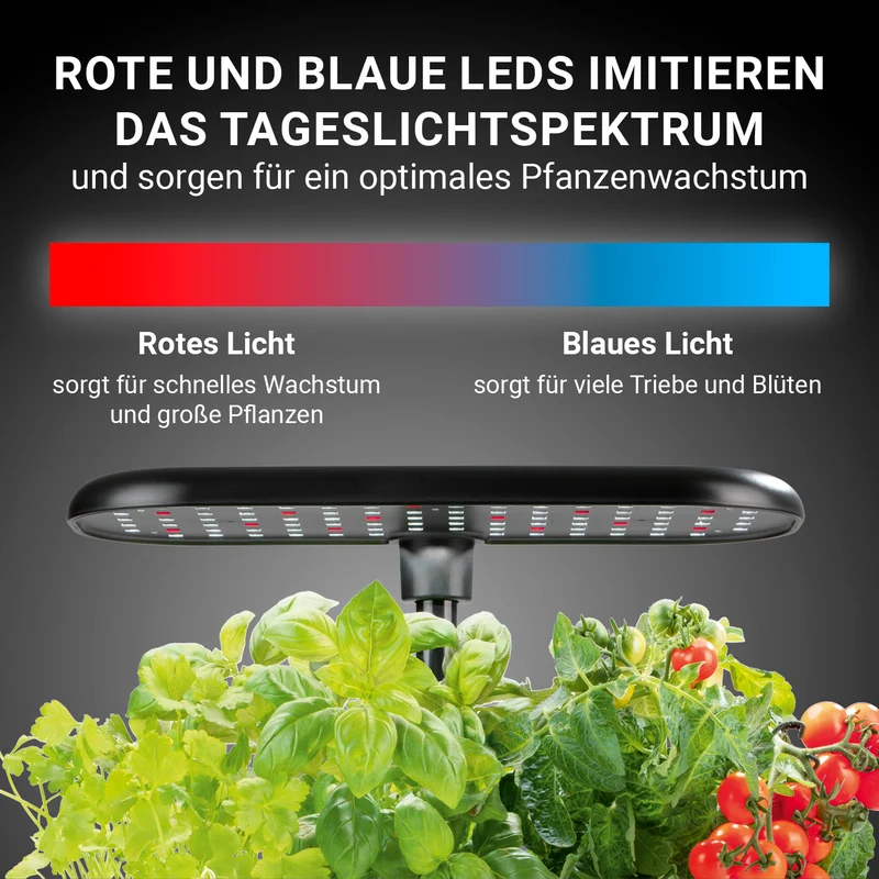 Hydroponische Pflanzenanzuchtstation mit Display + Ersatz-Set 56-tlg.