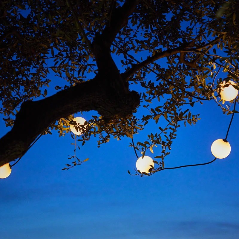 BOLLY LIGHT SOLAR